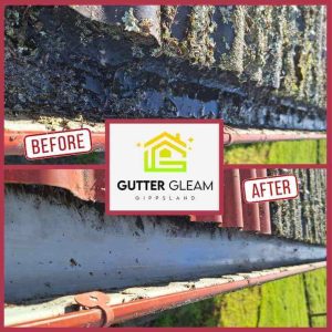 Gutter Gleam cleans vacuum cleans gutters